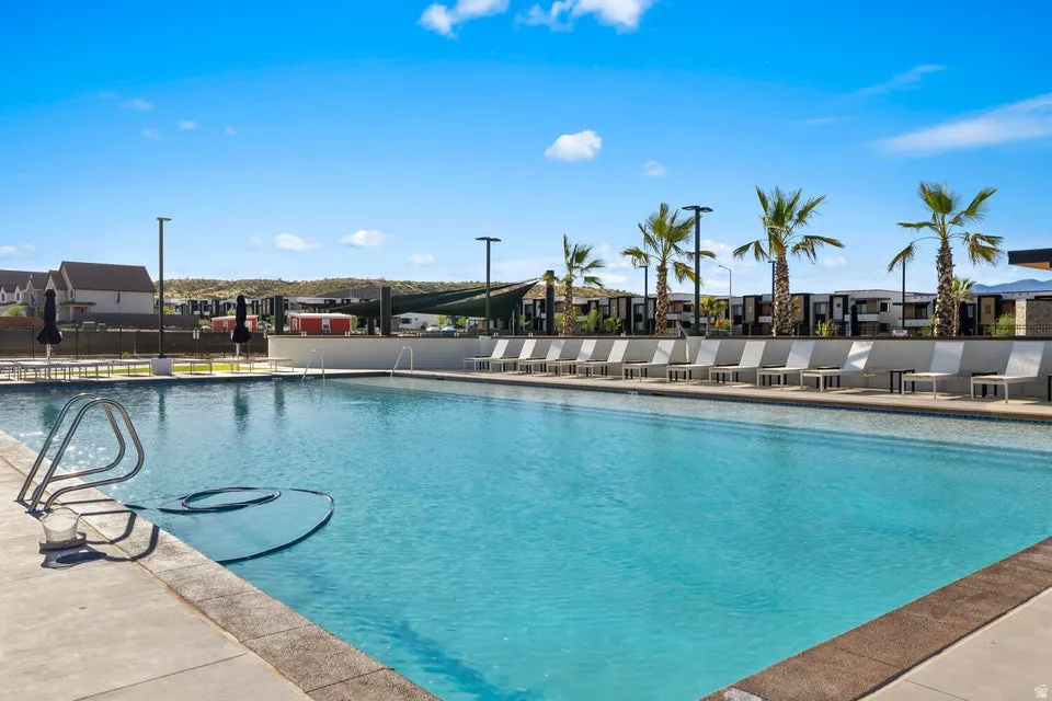 Expansive swimming pool featuring a concrete deck, multiple lounge chairs, and mature palm trees