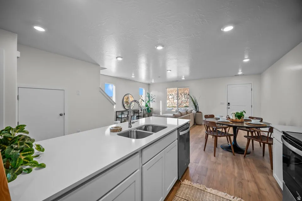 Open-concept living space with a kitchen island featuring a double-basin stainless steel sink, light-toned cabinetry, and a built-in dishwasher