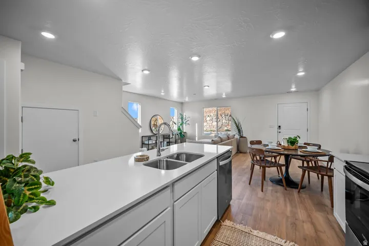 Open-concept living space with a kitchen island featuring a double-basin stainless steel sink, light-toned cabinetry, and a built-in dishwasher