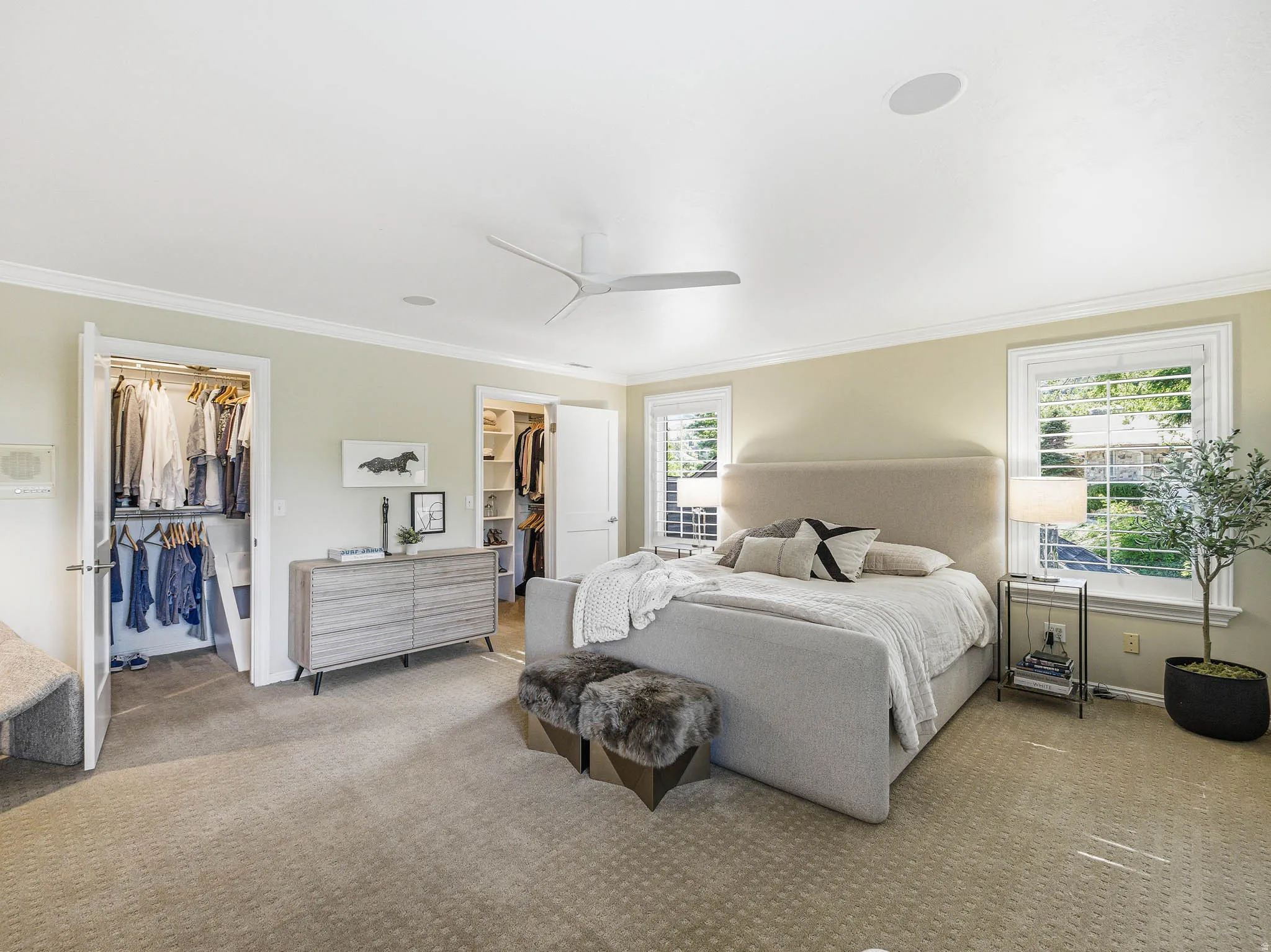 Carpeted room featuring dual closets with built-in organization, crown molding, and two windows with plantation shutters