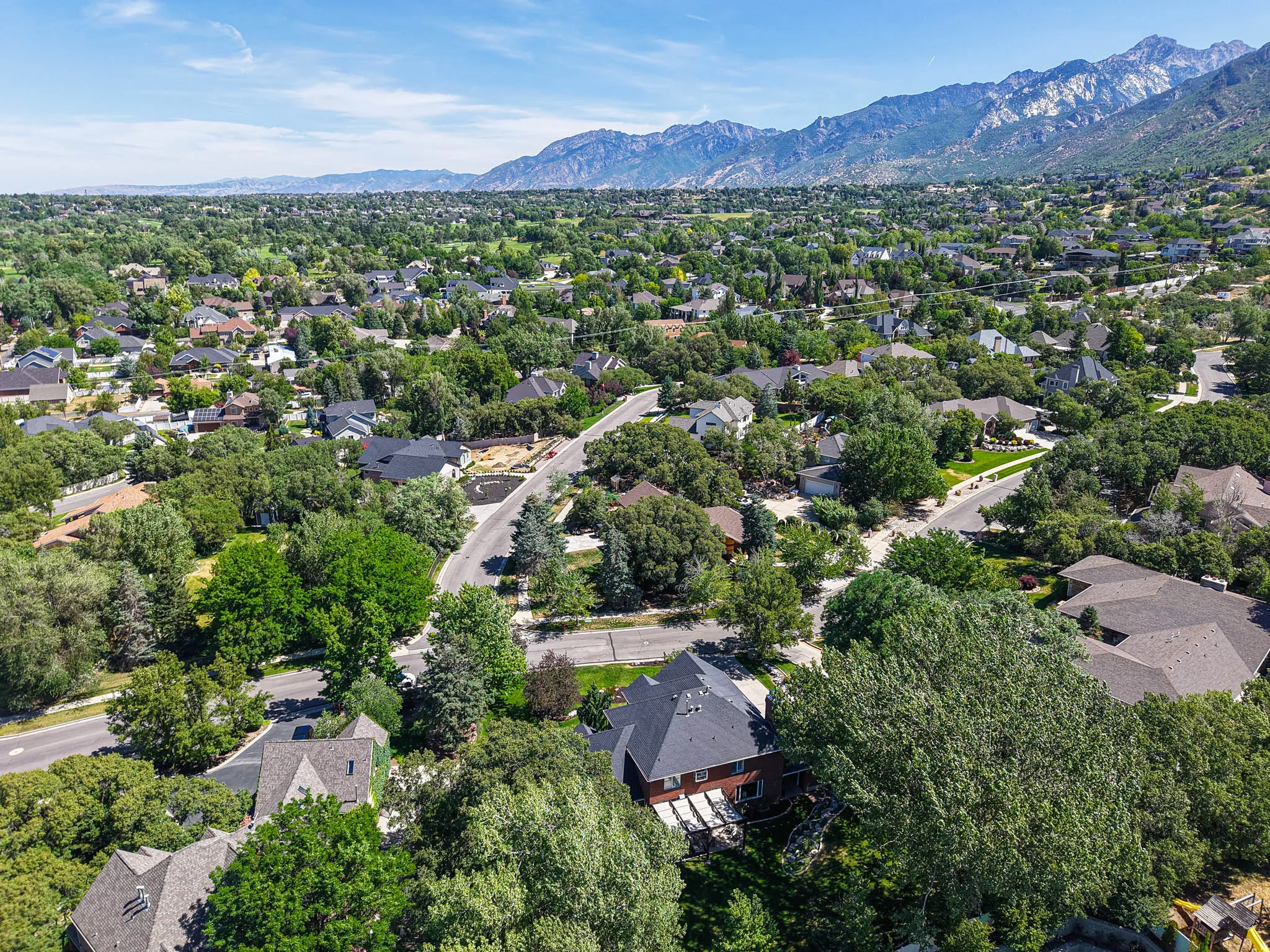 Expansive residential area featuring numerous properties surrounded by mature trees, with a prominent mountain range forming a backdrop under a clear blue sky