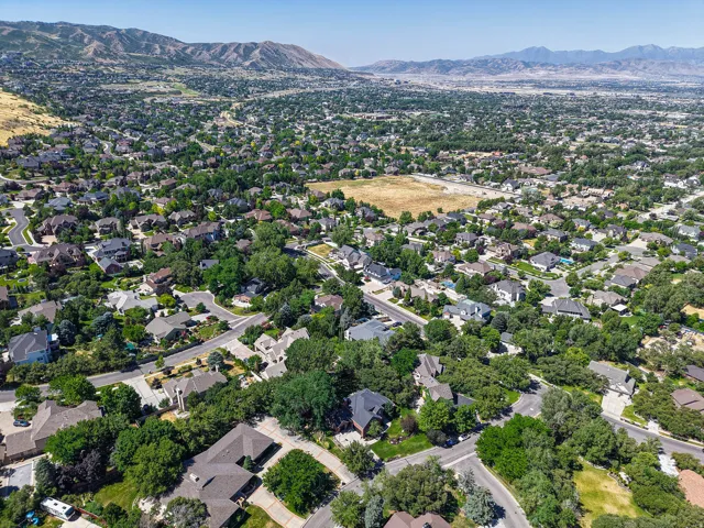 Expansive suburban landscape featuring extensive tree canopy, residential developments, and a prominent mountain range backdrop