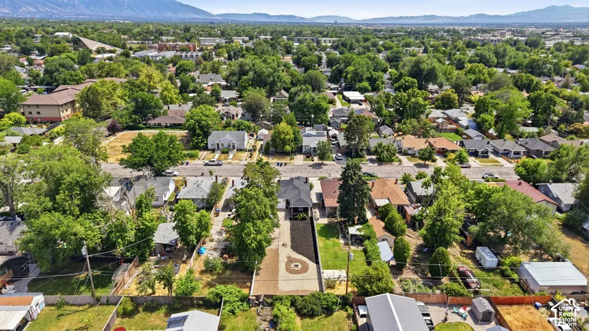 Residential neighborhood with mature trees, established streets, and mountain backdrop