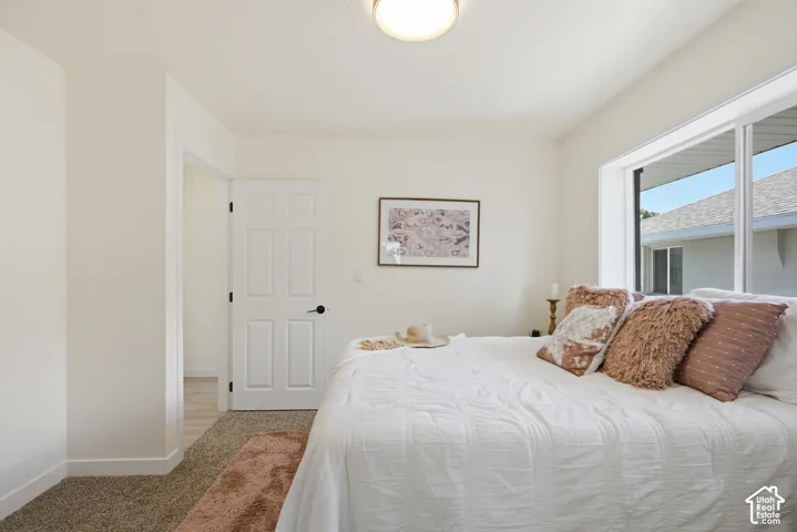 Bright room featuring a large window, textured carpeting, a white paneled door with black hardware, and a semi-flush ceiling light fixture