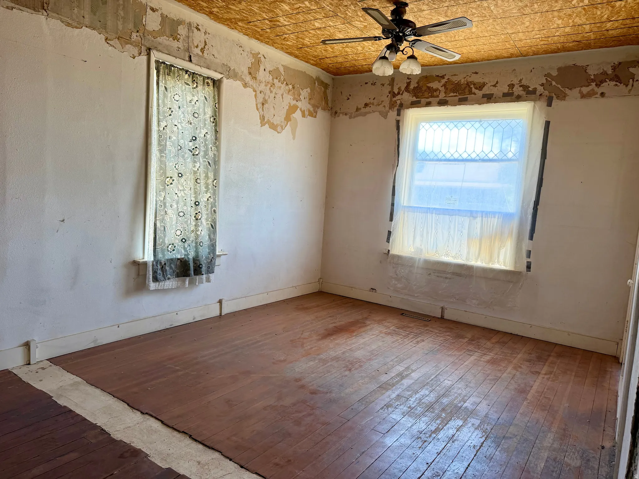 Hardwood flooring, two windows, and a ceiling fan with light fixture