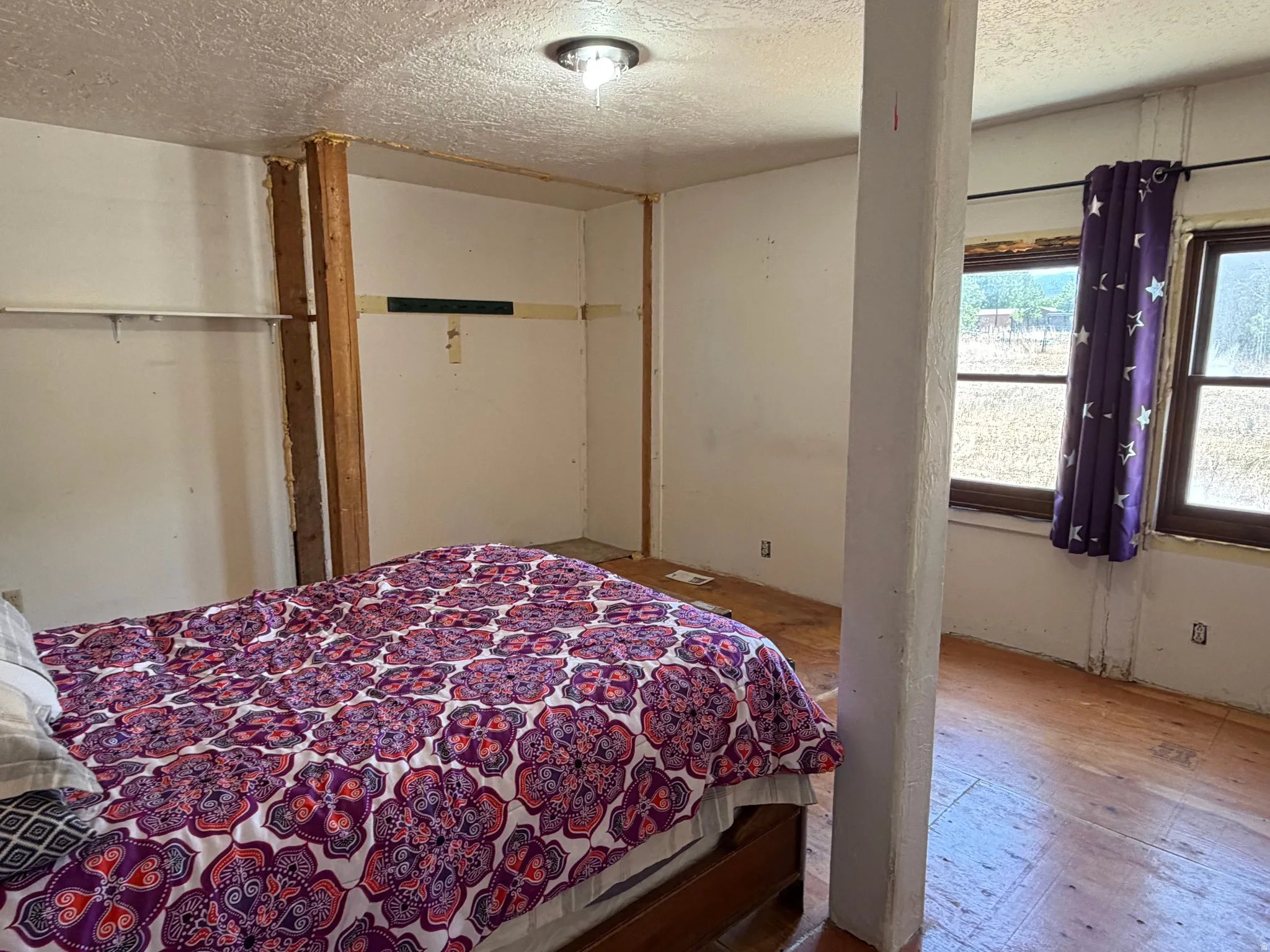Room featuring wood-finish flooring, two window openings, and a ceiling-mounted light fixture