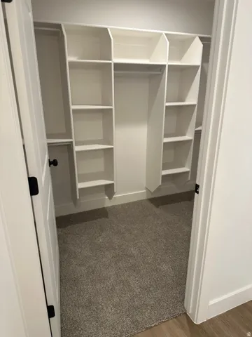 Custom closet system featuring multiple shelving units and hanging rods, plush gray carpeting, and white baseboards
