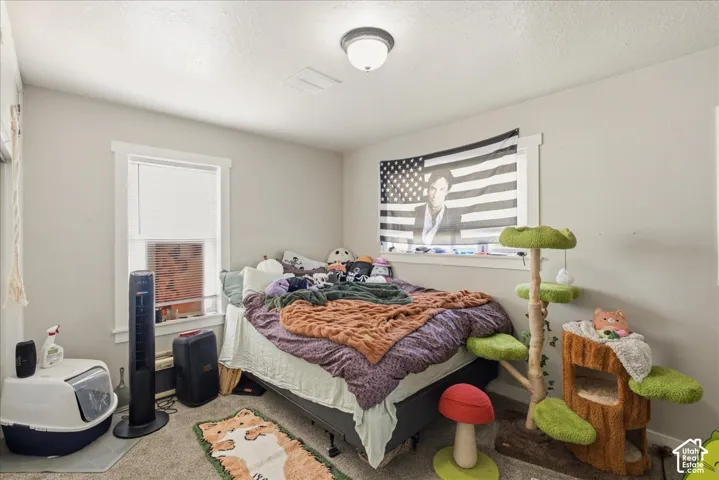Carpeted room with a ceiling-mounted light fixture and two windows featuring white trim
