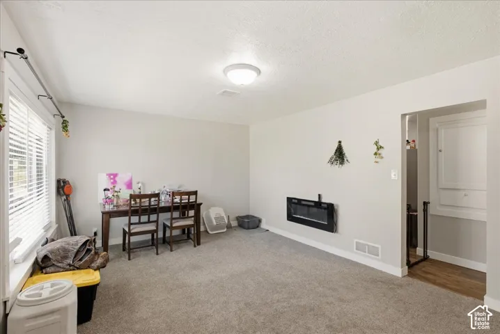 Spacious carpeted room featuring a large window with blinds, a wall-mounted electric fireplace, a flush-mount ceiling light fixture, and an entryway with wood-finish flooring