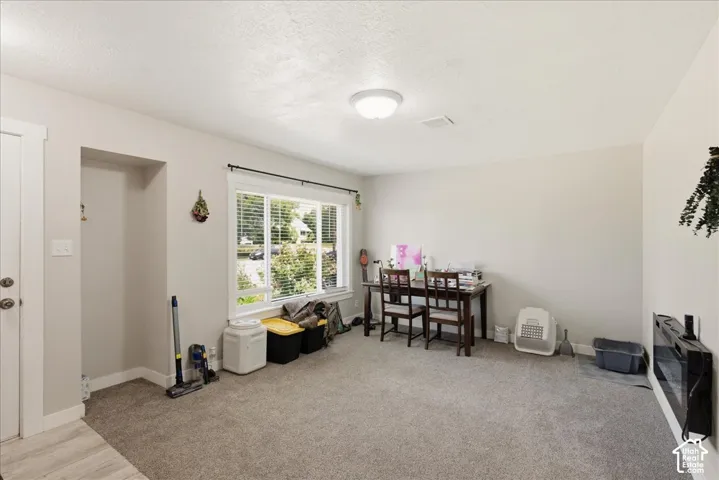 Light gray carpeting and neutral wall tones create a versatile interior space