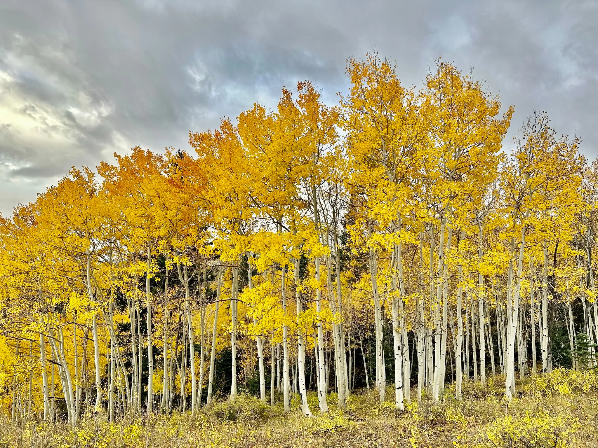 Boulder Mountain