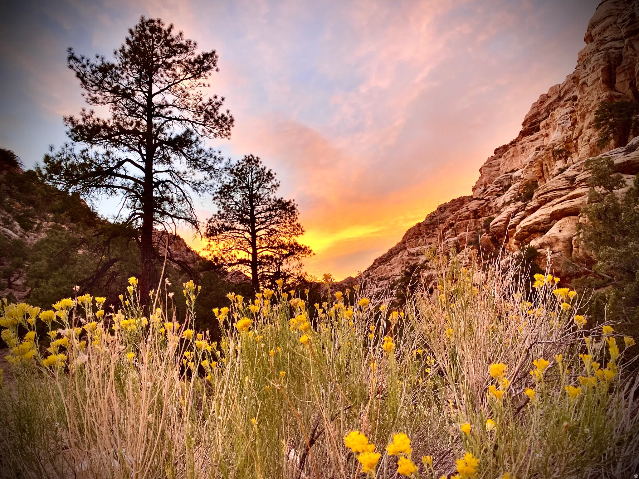 Boulder Mountain
