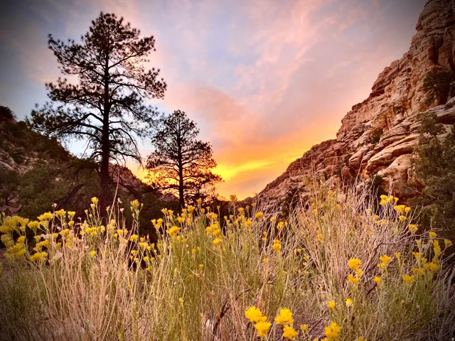 Boulder Mountain