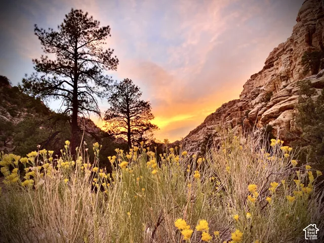 Boulder Mountain