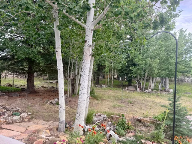 Mature trees and natural landscaping featuring a stone pathway
