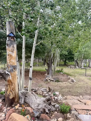 Landscaped outdoor area featuring mature aspen trees and natural rock accents