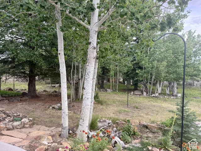 Mature trees and natural landscaping featuring a stone pathway