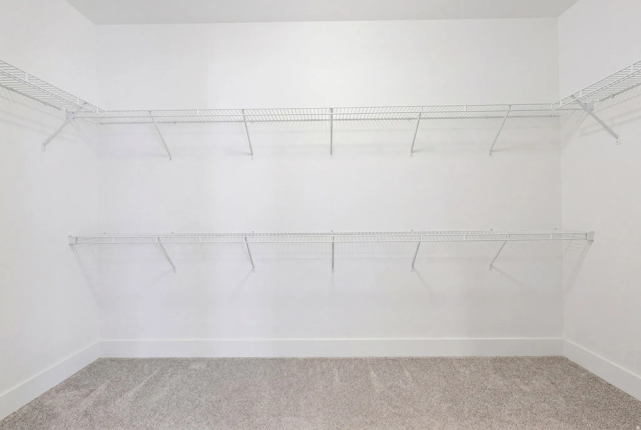 Carpeted room with white walls, white baseboards, and two levels of white wire shelving
