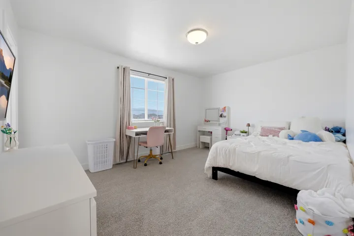 Bright bedroom featuring a large window, neutral carpet, and a flush-mount ceiling light fixture