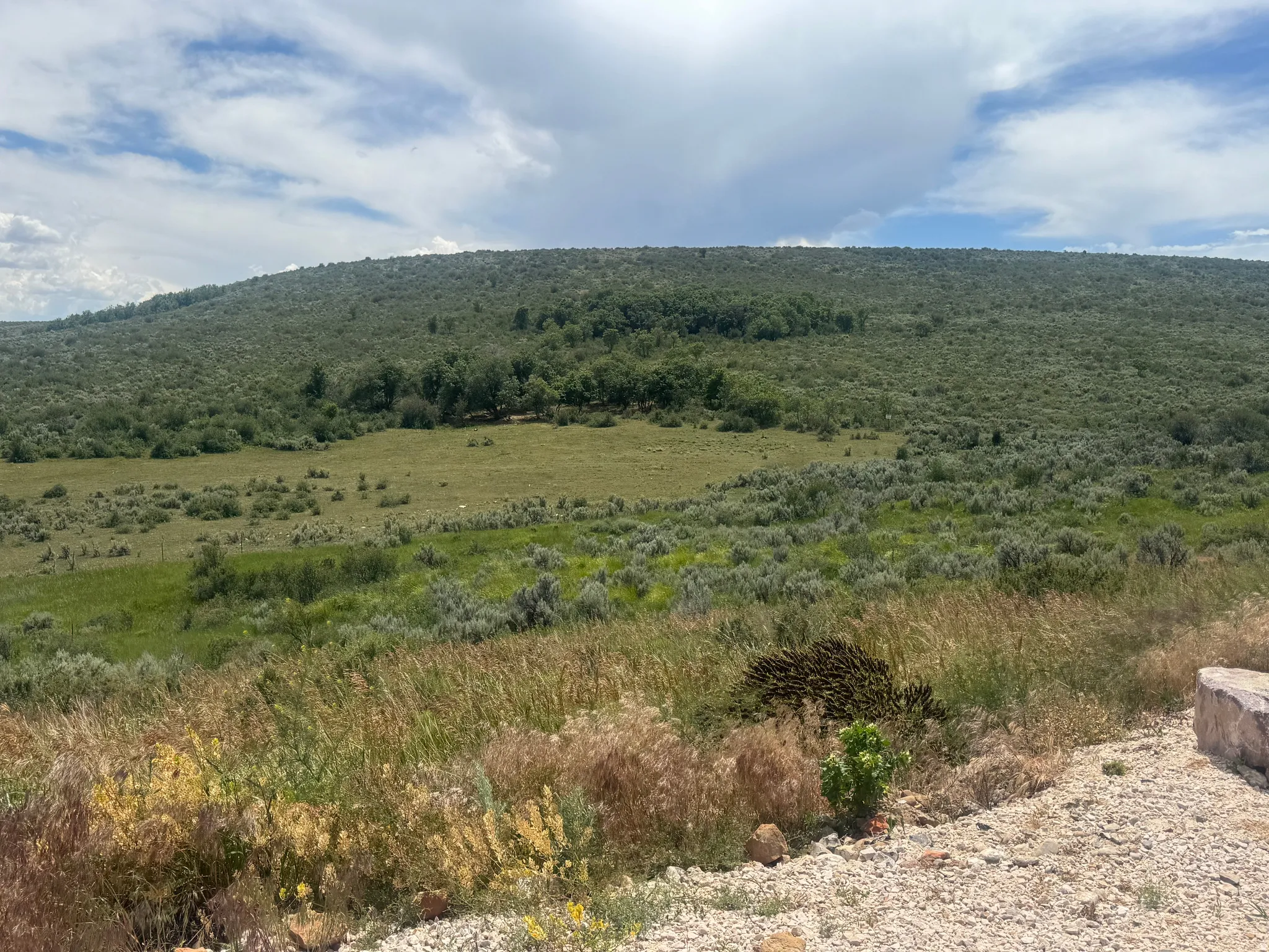 Expansive natural landscape featuring rolling hills and varied vegetation