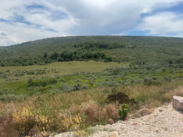 Expansive natural landscape featuring rolling hills and varied vegetation