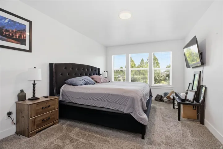 Bedroom featuring large windows with blinds, wall-to-wall carpeting, and a flush-mount ceiling light fixture