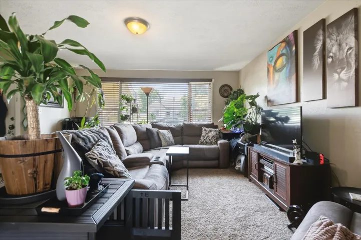 Carpeted living area featuring a flush-mount ceiling light, a wide window with horizontal blinds, and a built-in media console with storage