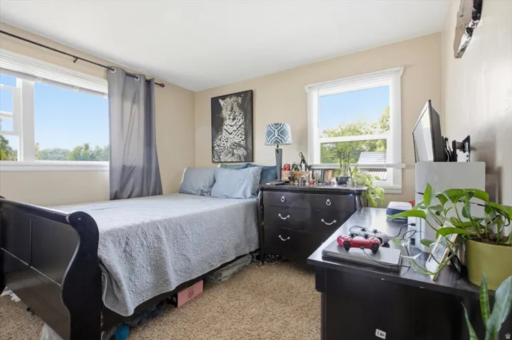 Carpeted room featuring two windows with white trim, light-colored walls, and a ceiling-mounted light fixture