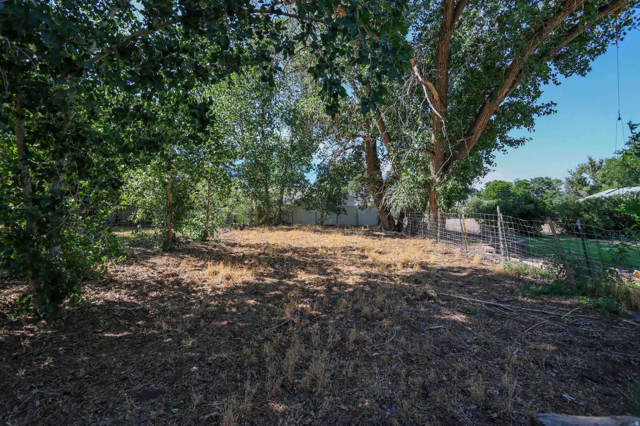 Spacious lot featuring mature trees providing ample shade, partially fenced perimeter, and natural ground cover