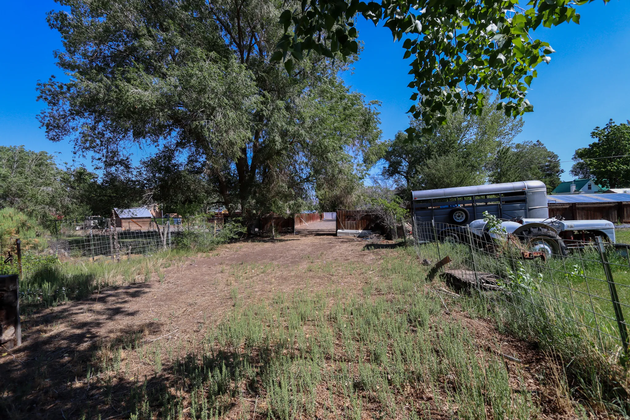 Expansive outdoor space featuring mature trees and a clear blue sky