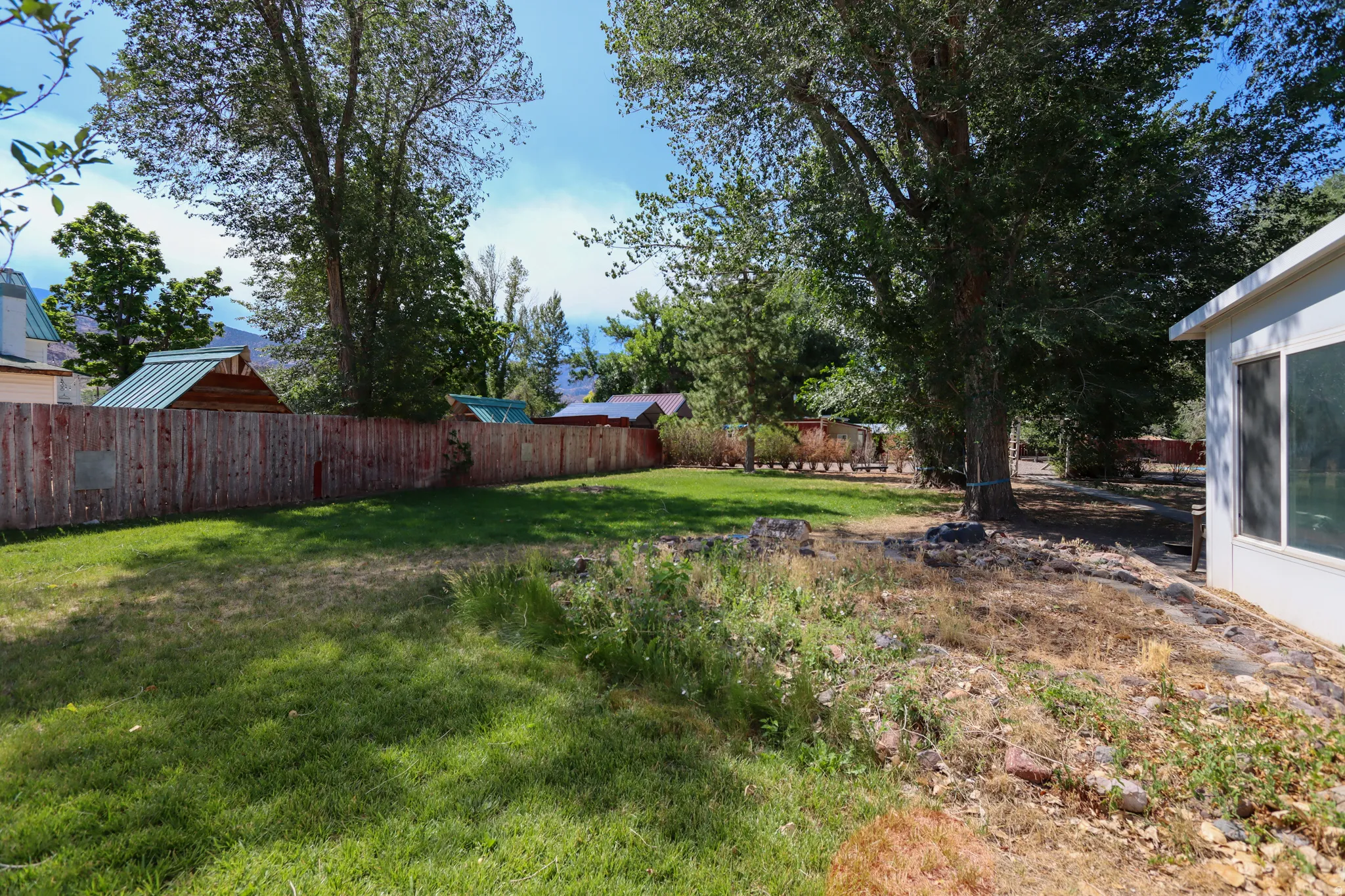 Expansive backyard featuring a manicured lawn, established trees, and a wooden privacy fence