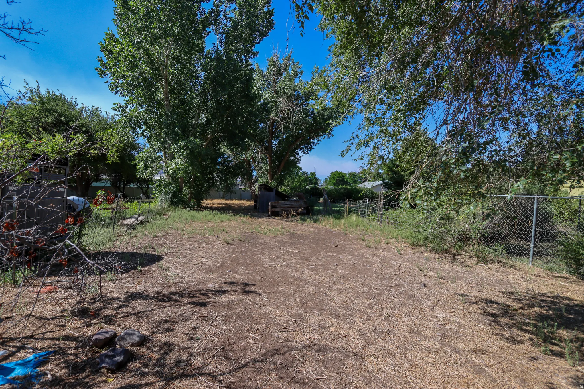 Expansive outdoor area featuring mature trees providing shade, a clear blue sky, and natural ground cover