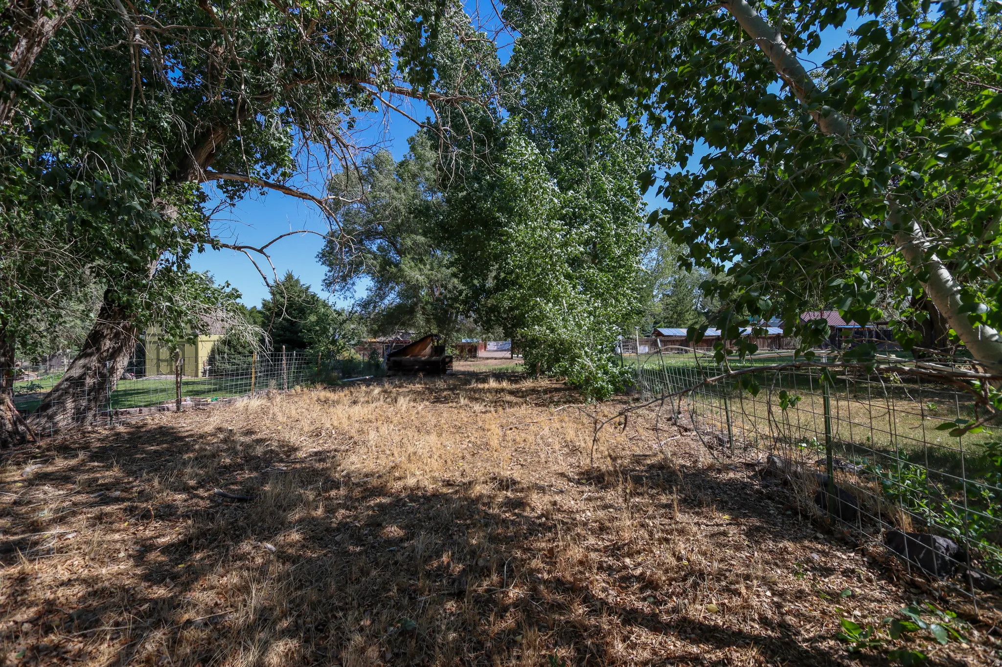 Expansive outdoor area featuring mature deciduous trees and a wire perimeter fence