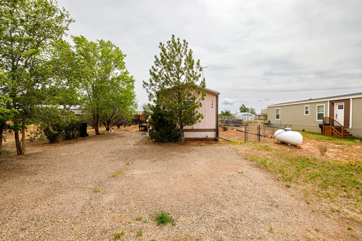 Expansive gravel driveway with mature trees and shrubbery, featuring a detached shed and a fenced area