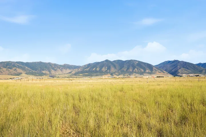 Expansive natural landscape with a vast field of golden grasses
