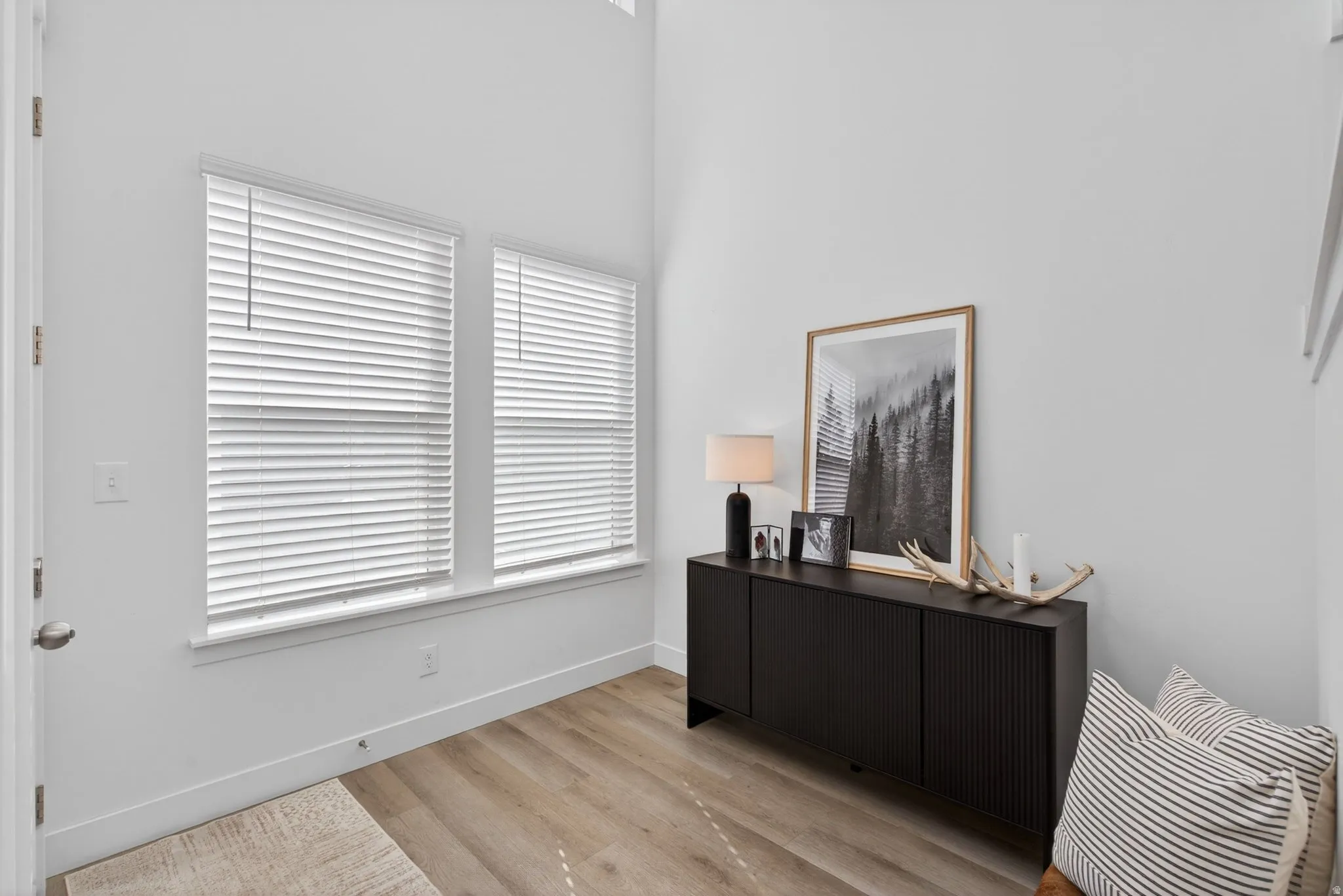 Entryway featuring wood-finish flooring, white walls, and a high ceiling