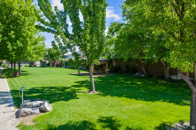 Expansive lawn area featuring mature deciduous trees providing ample shade