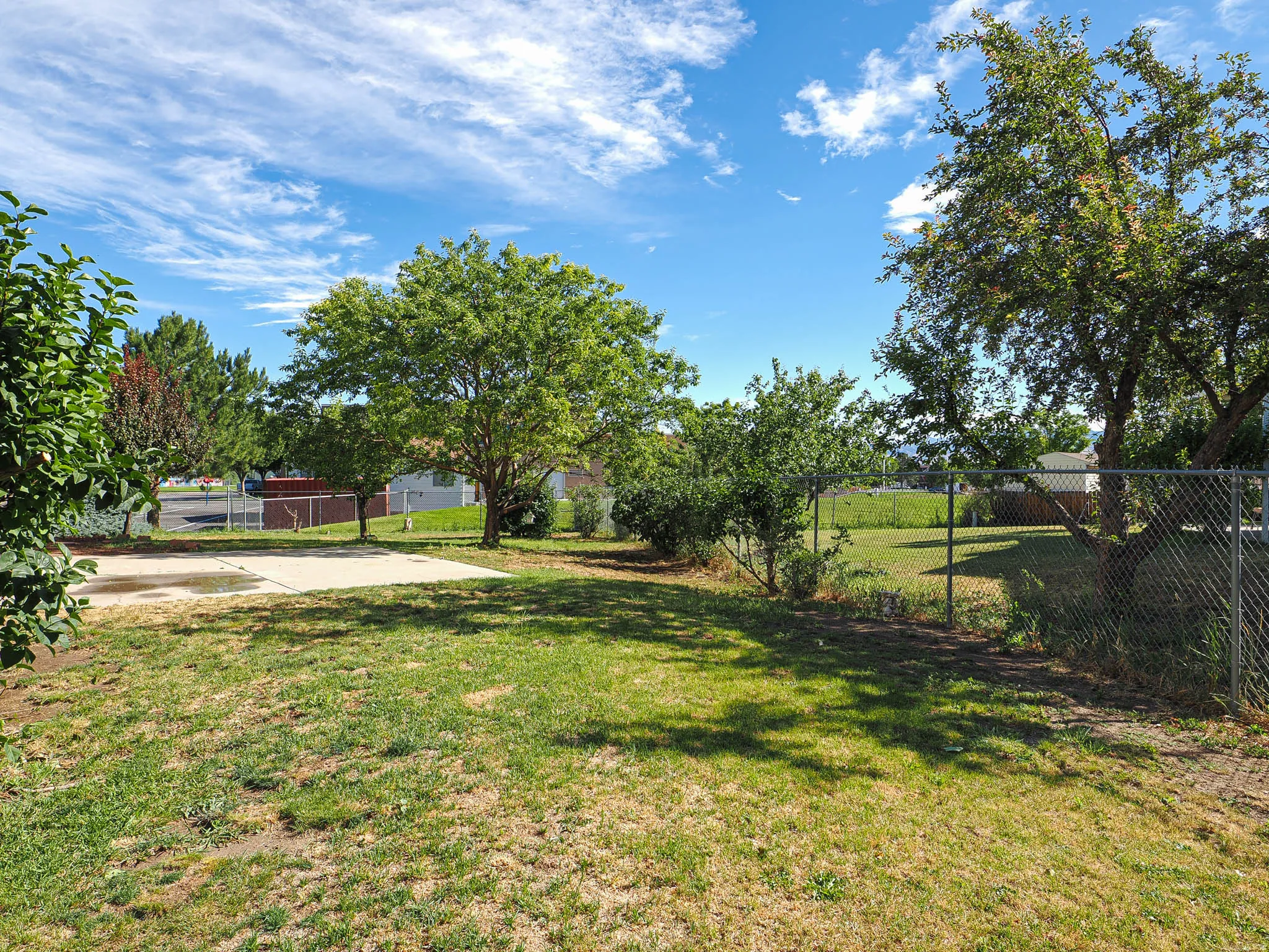 Expansive yard featuring mature trees, a concrete pad, and a chain-link fence