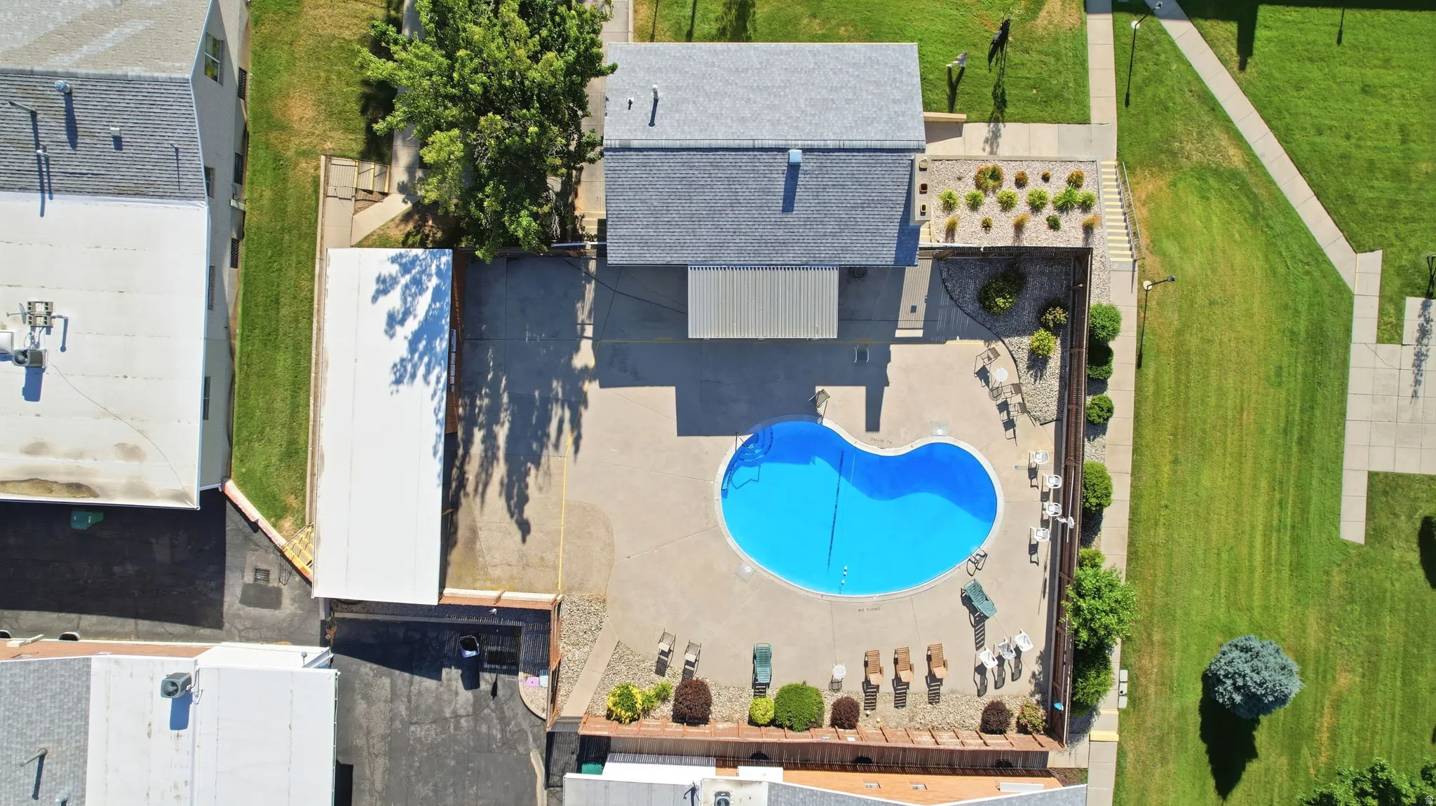 Kidney-shaped swimming pool surrounded by a concrete deck with perimeter landscaping