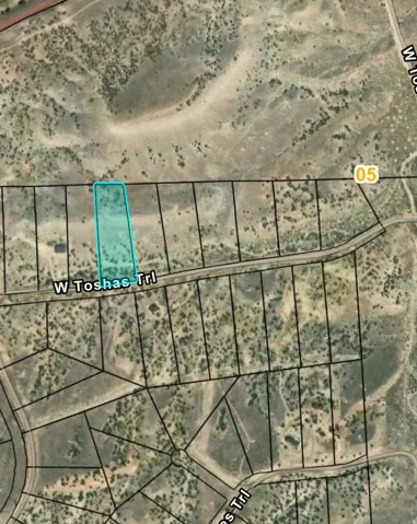 Plat Map. Illustrating the property's boundaries and surrounding parcels