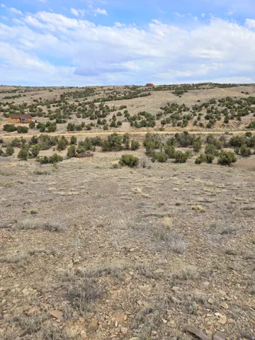 Expansive open terrain featuring natural vegetation, scattered brush, and a distant property