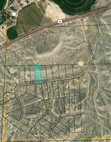 Plat Map. Illustrating the property's boundaries and its location within the specified subdivision