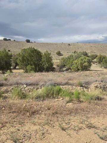 Expansive arid landscape featuring scattered brush and rolling terrain
