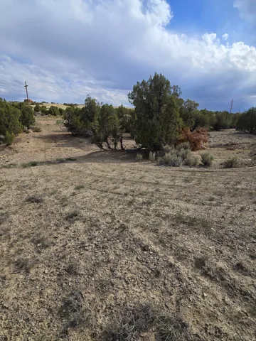 Expansive undeveloped land featuring mature trees and varied natural terrain