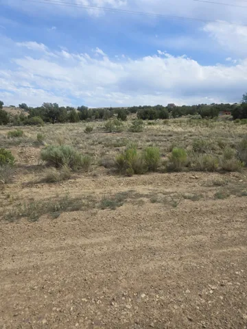 Expansive unpaved terrain with low-growing vegetation and distant trees