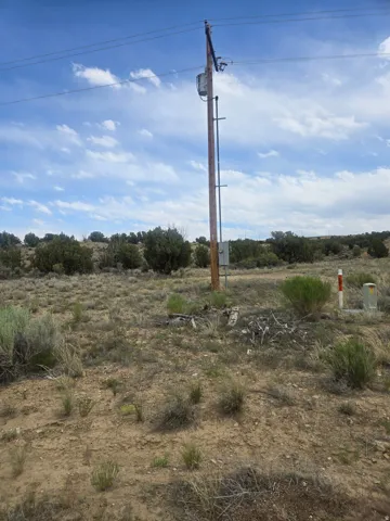 Utility pole with power lines and transformer present on a natural landscape with sparse vegetation