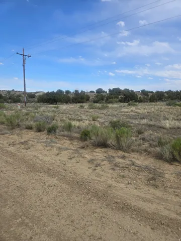 Expansive land parcel featuring natural desert flora, a dirt pathway, and a utility pole with overhead lines