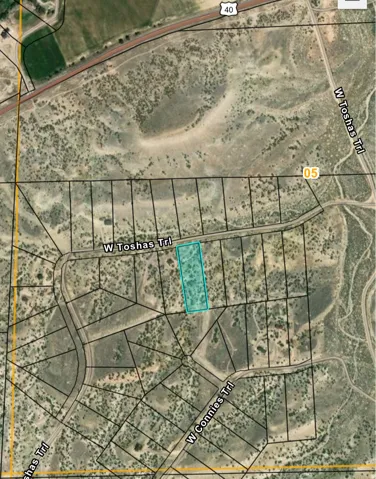 Plat Map. Illustrating the property's boundaries and surrounding parcels