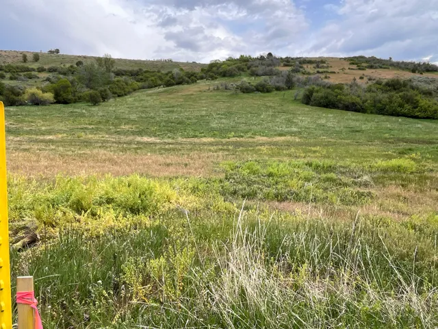 Expansive natural landscape featuring rolling hills and varied vegetation