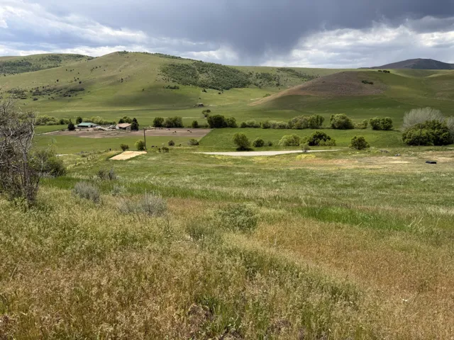 Expansive green landscape featuring rolling hills and distant structures